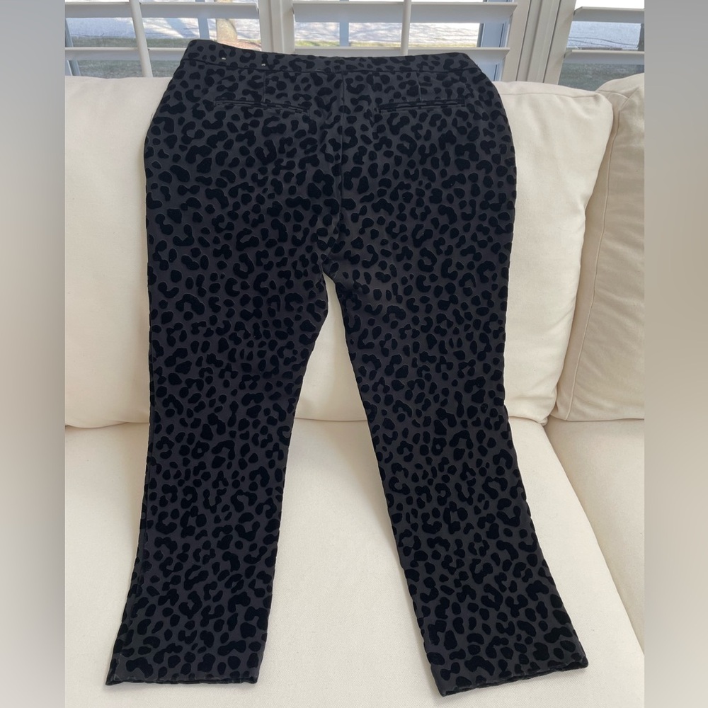 Ann Taylor - animal print dress pants (6) - Picture 5 of 6